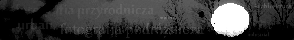 Fotografia Bartłomiej Speth